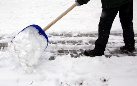 Ötvenezres büntetést is kaphatnak a hanyag ingatlantulajdonosok