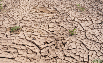 Agrometeorológia: az Alföldön csak lassan mérséklődik az aszály