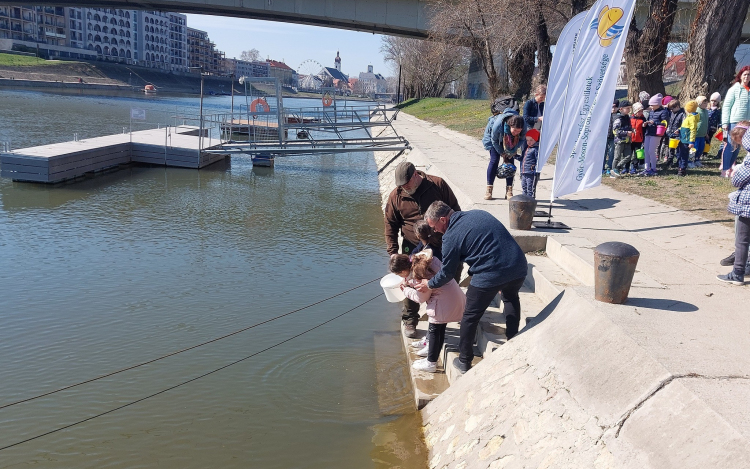 Látványtelepítés lesz Halak napján a Mosoni-Dunába