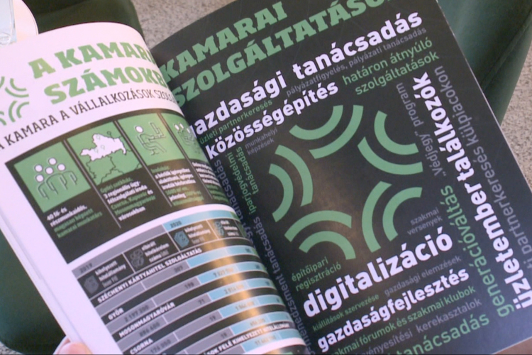 Fókuszban a munkaerőpiac