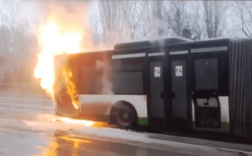 Lángokban hevert egy busz Tatabányán