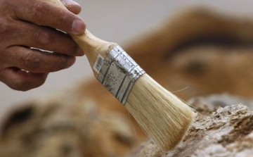 Nyolcmillió éves elefánt maradványaira bukkantak Macedóniában