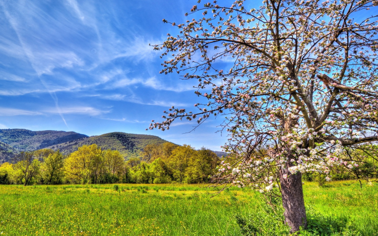 Hétvégén jön a tavasz 