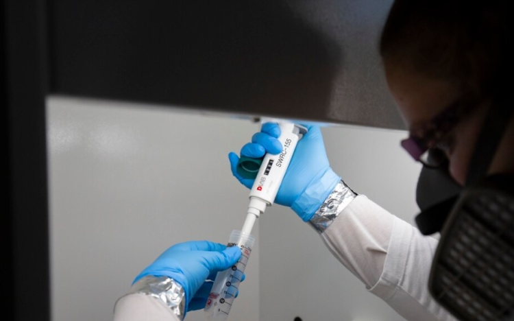 Enyhén emelkedett a vírus örökítőanyagának koncentrációja a szennyvízben