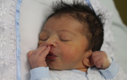 Kolompár Izmáel Zsülien 