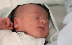 Rózsavölgyi Dzsenifer Rita 