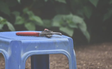 Január a kertben, induljon az éved tudatosan!