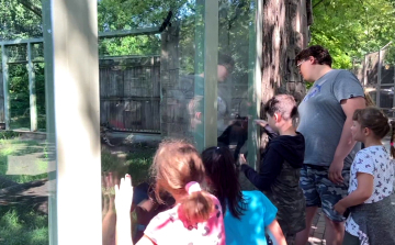 Rohamosan fogynak a helyek a táborokba