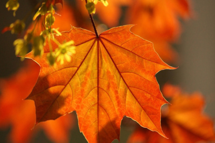 A hétvégén zivatarokra és 25 fokos melegre is lehet számítani