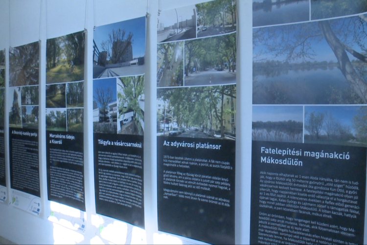 Győr természeti értékeiből nyílt kiállítás