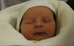 Németh Júlia Hanga 