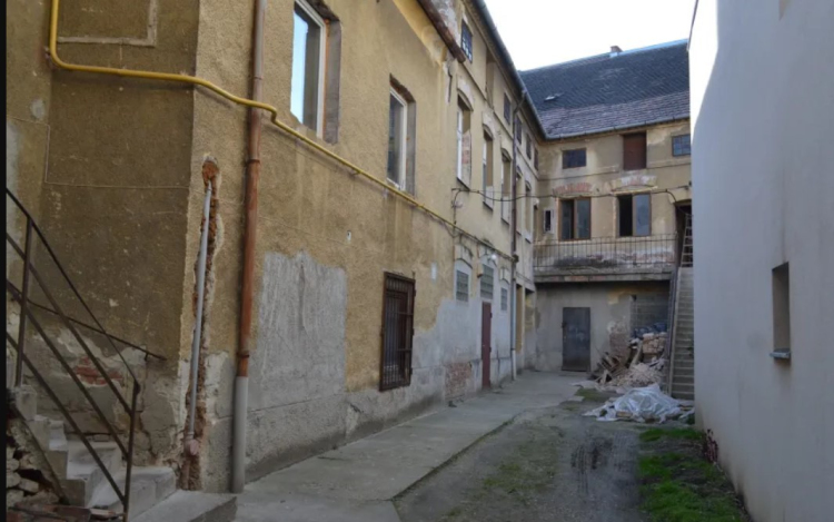 Majdnem meghalt a kislány a kutyatámadás miatt