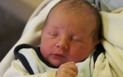 Kollár-Radó Márton 