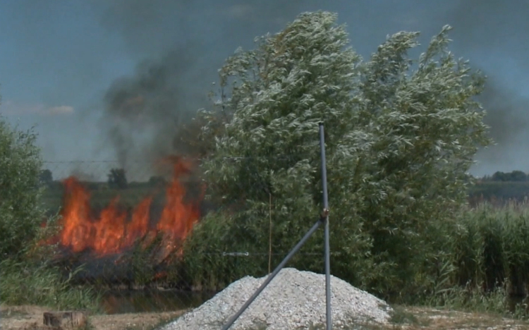 Több, mint 190 hektár égett le már idén a térségben