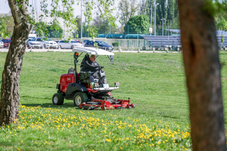 Folyamatos a fűnyírás a város közterületein