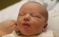 Zsida Miron László 