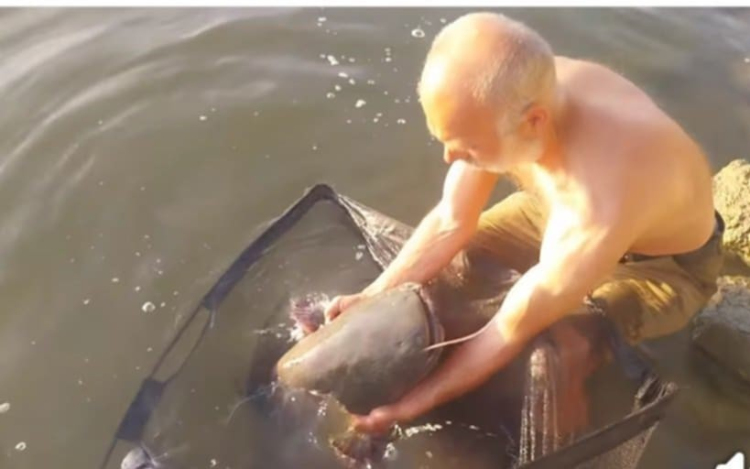 Harcsamentés a kubikgödörből (VIDEÓ)