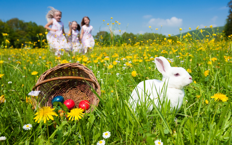 Regio Játék: a 6500 forint alatti gyerekjátékok a legnépszerűbbek húsvétkor