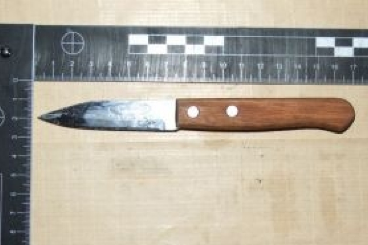 Megvágta lakótársa arcát, mellkasát a győri nő