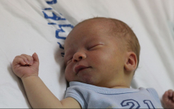 Parais Nimród Kristóf 