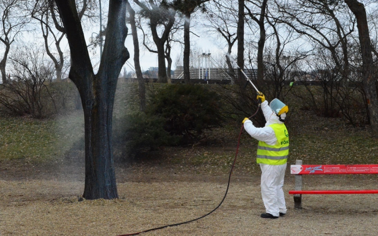 NÖVÉNYVÉDELMI MUNKÁK