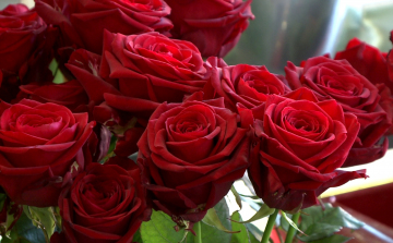 Valentin-nap – A rózsából fogy a legtöbb