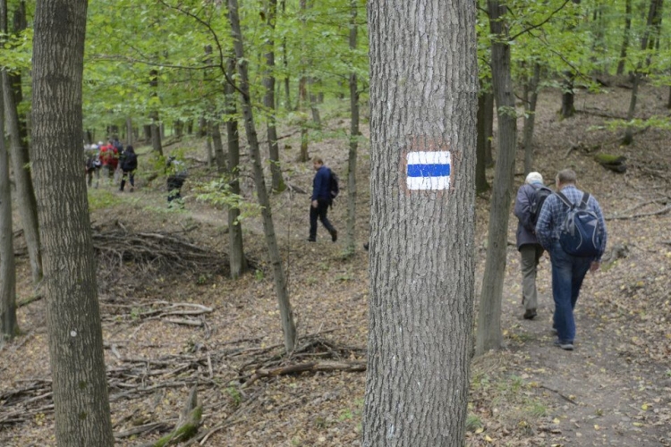 Rekordot döntött idén a Pilisi Parkerdő látogatottsága