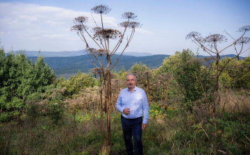 Veszélyes növény közeledik hozzánk – jelezte az agrárminiszter