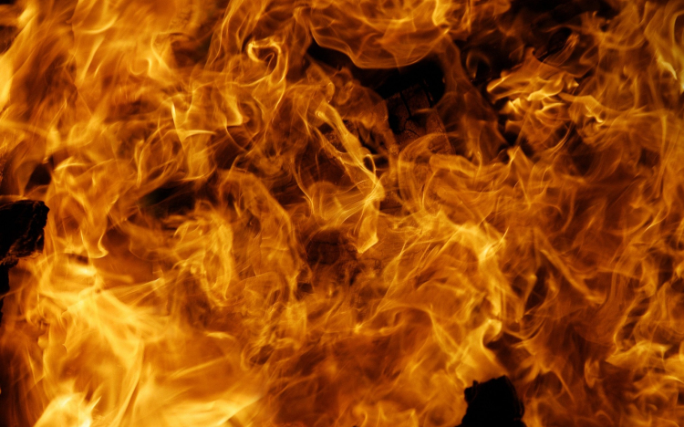 Kigyulladt egy napraforgósiló Jánossomorján