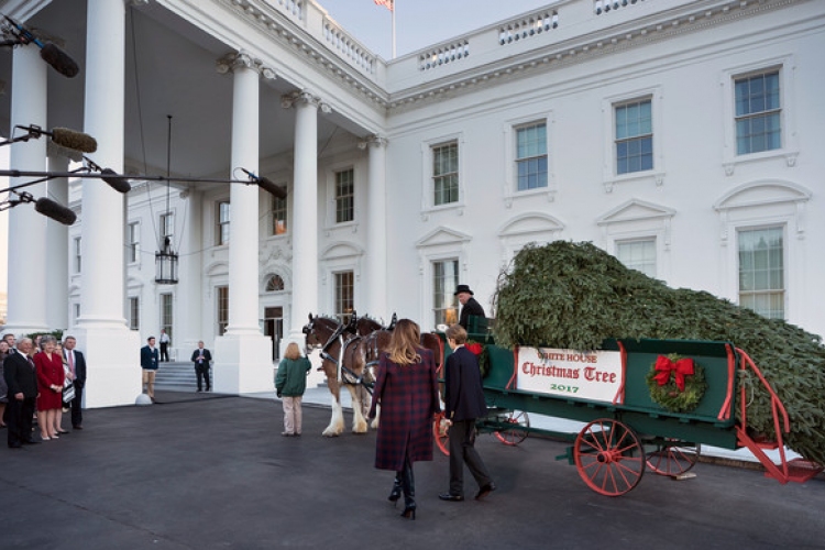 A Fehér Házba megérkezett a karácsonyfa
