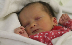 Bakonyi Izabella Éva