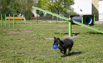 Különleges kutyajátszótér épült Győrben