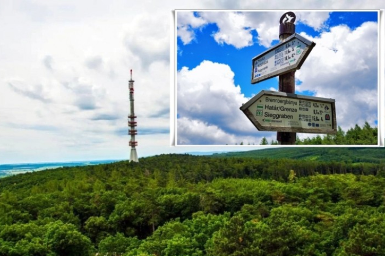 Eltévedt túrázókat találtak meg