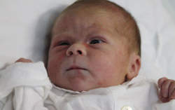 Nagy Dániel Benedek 