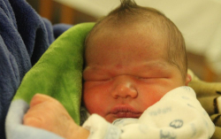 Phedut Adrián-Brendon 