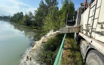 Pontyokkal gazdagodtak megyei folyószakaszok