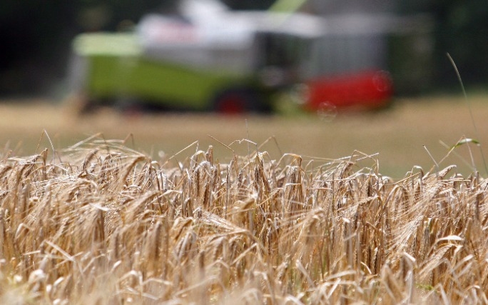 Nagy lehetőségek Magyarország digitális agrárstratégiájában