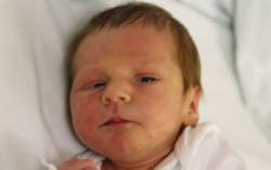 Varga Mihály Kornél 