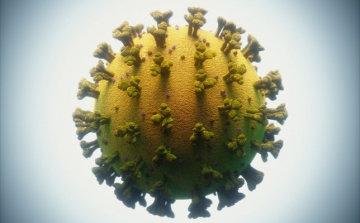 Kutatócsoport tanulmányozta a koronavírus struktúráját, így jut be a sejtekbe