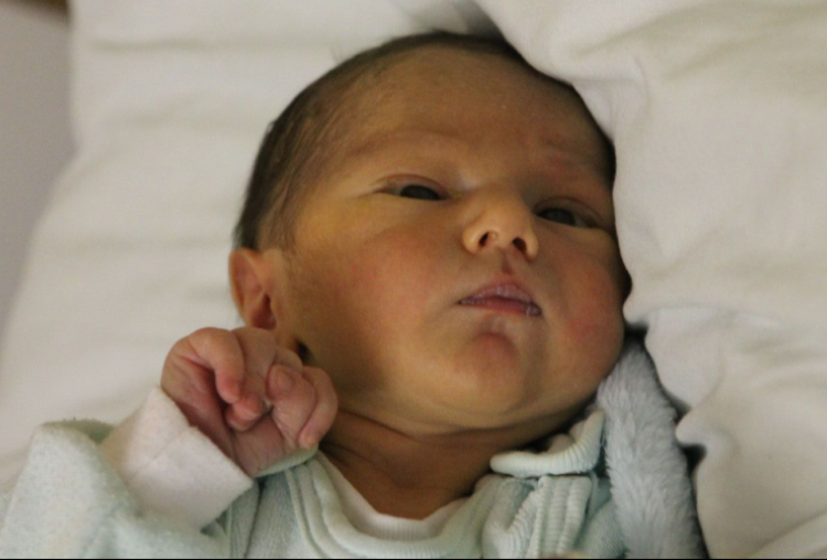 Vass Dávid Krisztián 