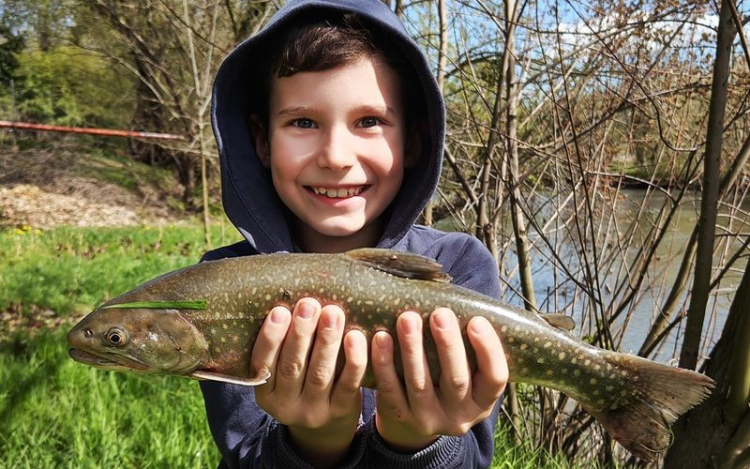 Ritka halat fogott a Rábából