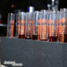 04.23. Lapos Party - Antonyo