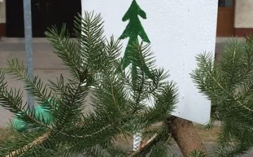 Karácsonyfagyűjtés: már csak pár nap!