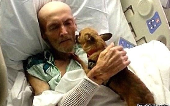 Egy végső stádiumban lévő rákbeteghez beengedték a kutyáját... Hihetetlen, ami ezután történt