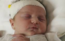 Bognár Letícia Katica 