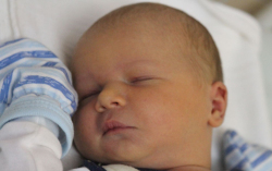 Vadász Márk István 