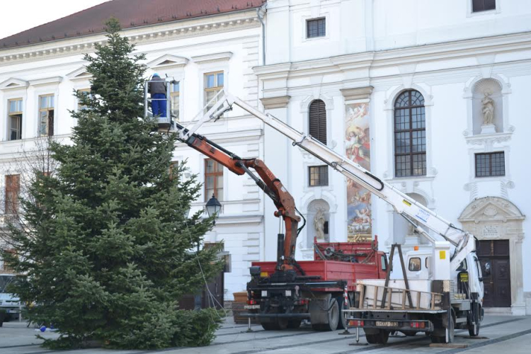 A város karácsonyfája